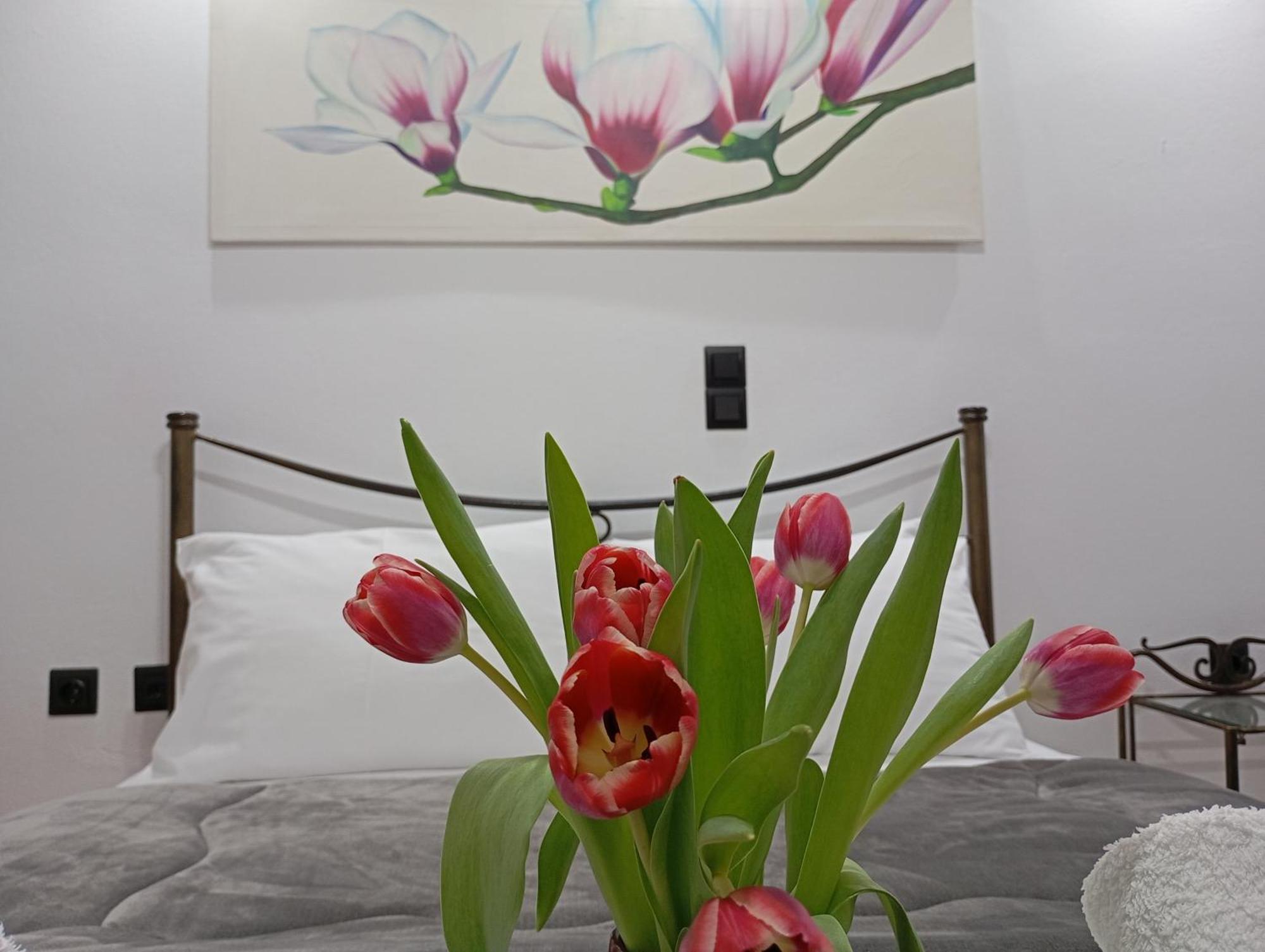 Vaso'S Appartments A Mesolóngion 외부 사진